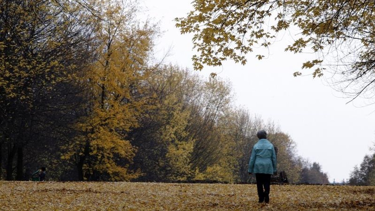 CHORZW JESIENNY PARK