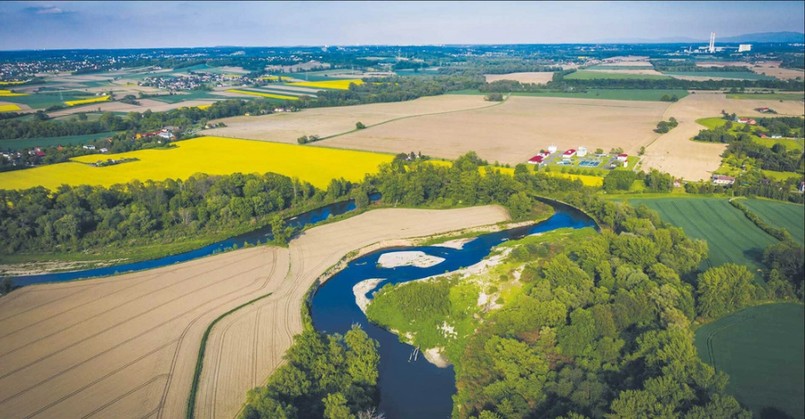 Śląskie