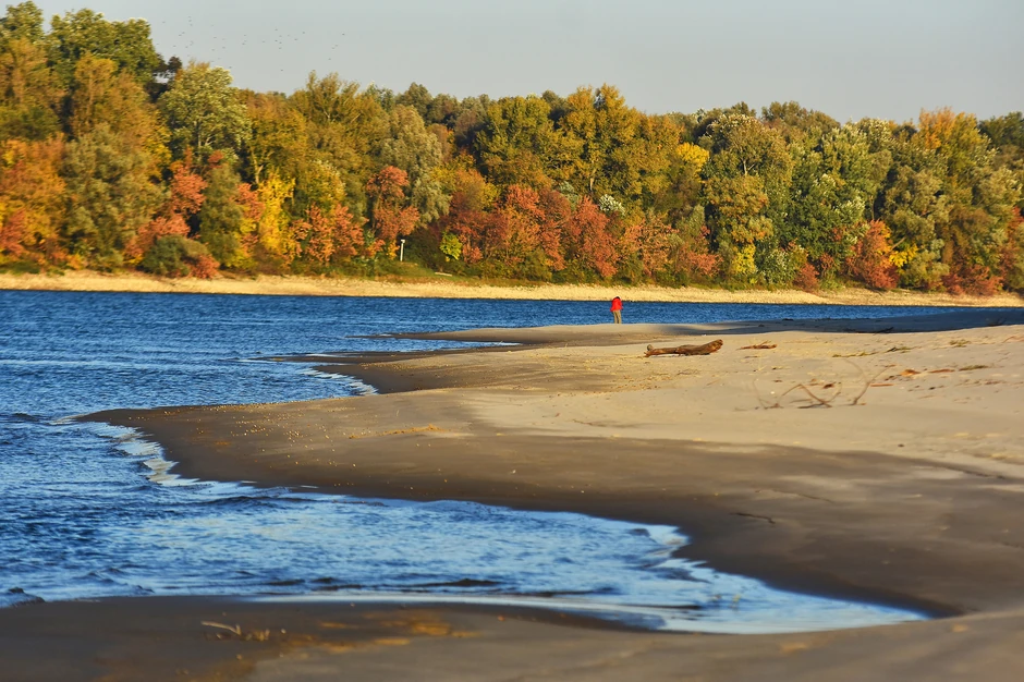 Nizak vodostaj Dunava kod Bačkog Monoštoar
