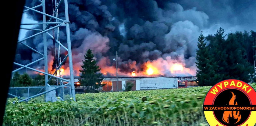 Tragiczny pożar w Zachodniopomorskiem. W chlewni znaleziono zwęglone zwłoki