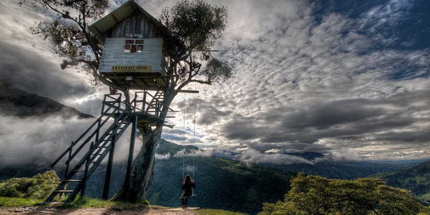 La Casa Del Arbol