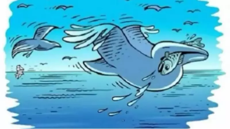 Delfin, ryba i... mewa? (fot. jagranjosh.com)