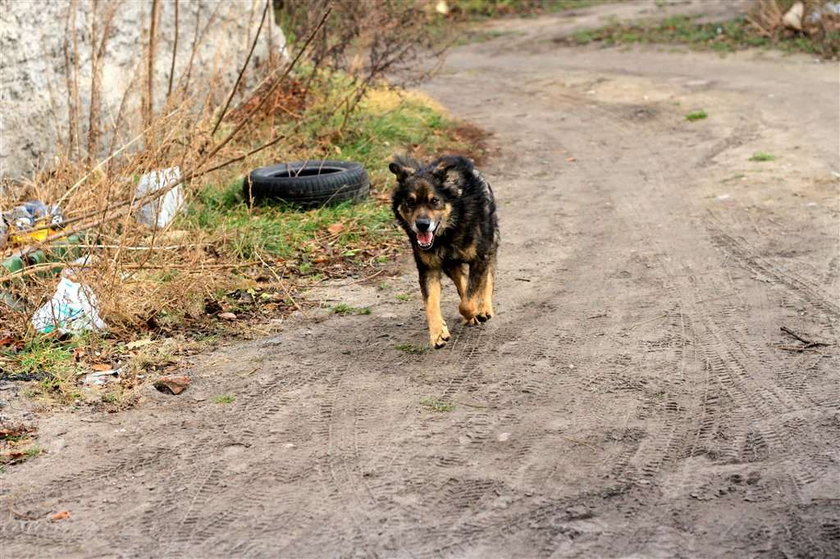 Uratowałem rodzinę, a oni mnie zostawili