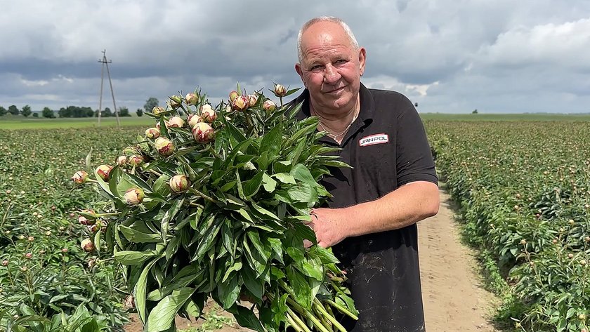 A difficult year for growers. What does their cultivation look like in Poland?