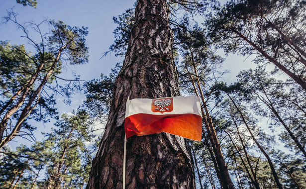 Prace konserwatorskie dotyczą tylko zachowanych starych elementów cmentarzy. Jednocześnie toczą się prace modernizacyjne, w ramach których na miejscu starych nagrobków powstają nowe – granitowe, nawiązujące do nich stylistyką.