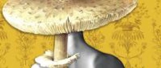 Rykarda Parasol 'Against The Sun' - recenzja