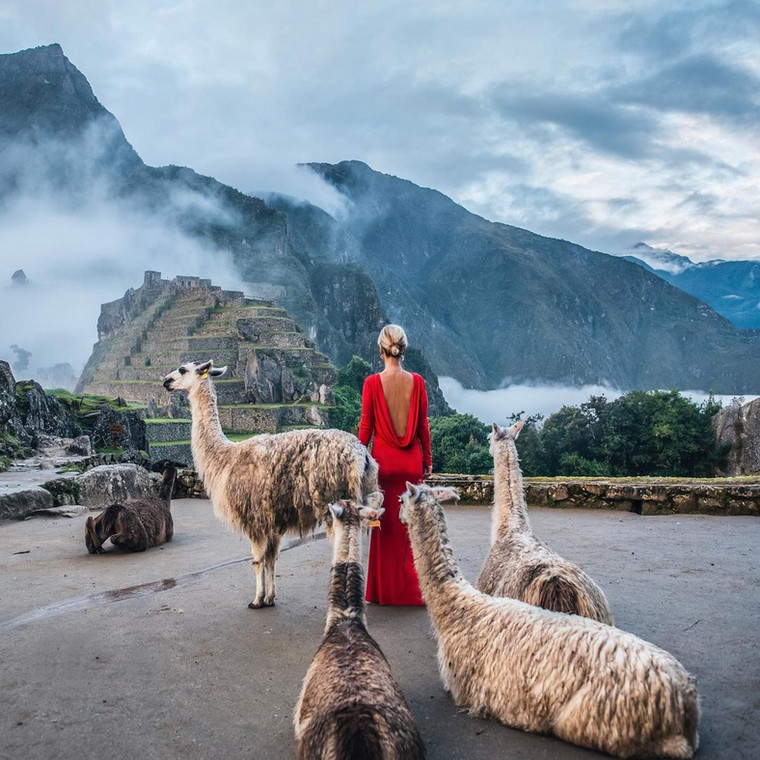 Zdjęcie z budzącymi się lamami na Machu Picchu