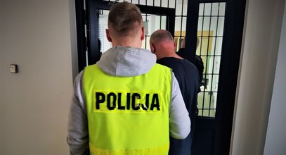 Zdradziło ich podejrzane zachowanie. Recydywiści w rękach policji