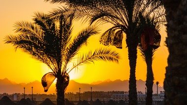 ważna wiadomość dla turystów. egipt masowo zamyka biura podróży