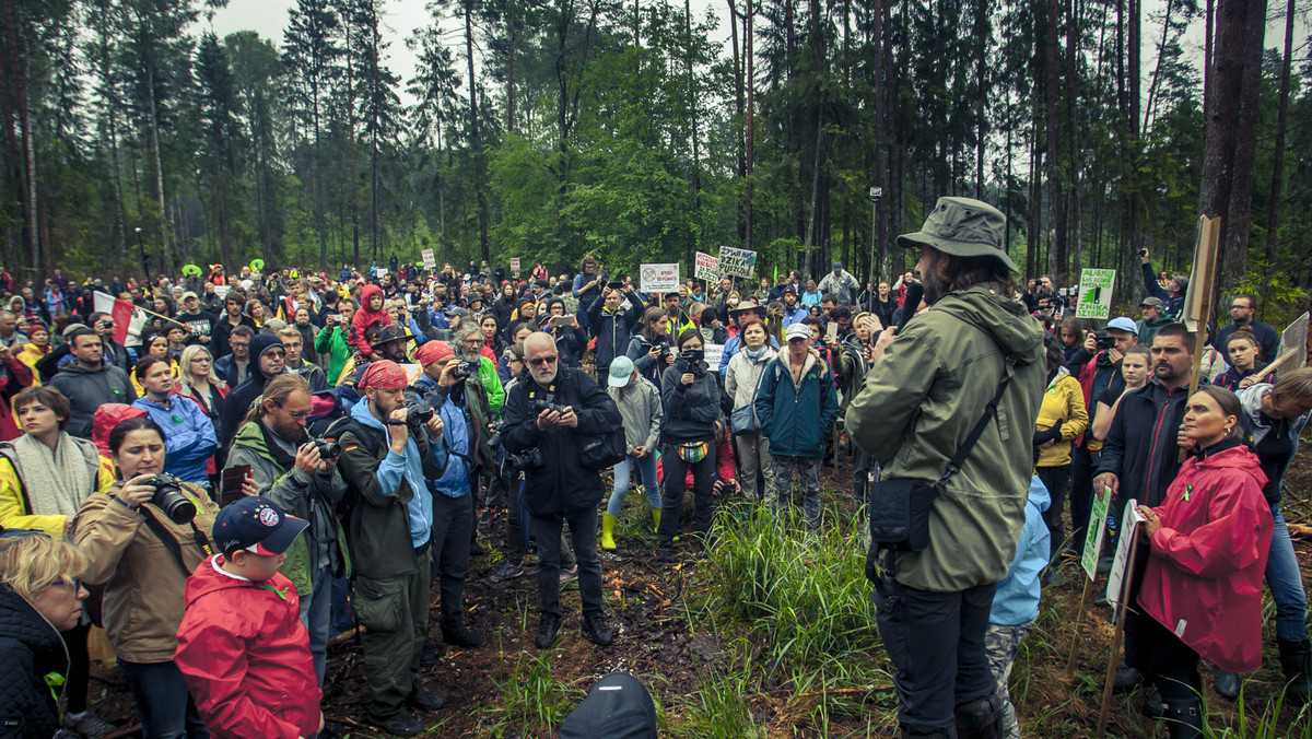 Ekolodzy nie ustępują. Nadal obozują w Puszczy Białowieskiej i monitorują działania leśników. Są zmotywowani sukcesem ostatniego spaceru obywatelskiego, w którym wzięło udział prawie 800 osób.