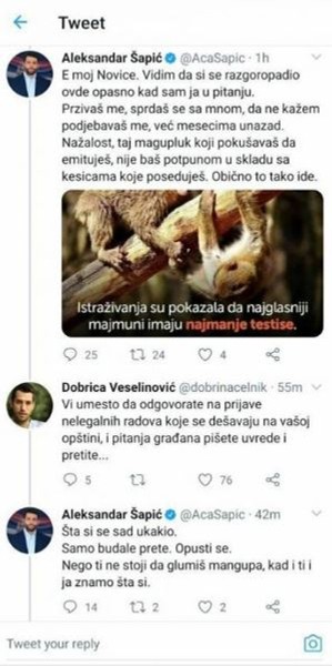 Aleksandar Šapić piše uvredljive tvitove