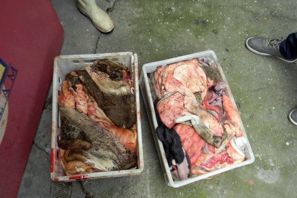 573004_pas-foto-printscreen-abcnews-3