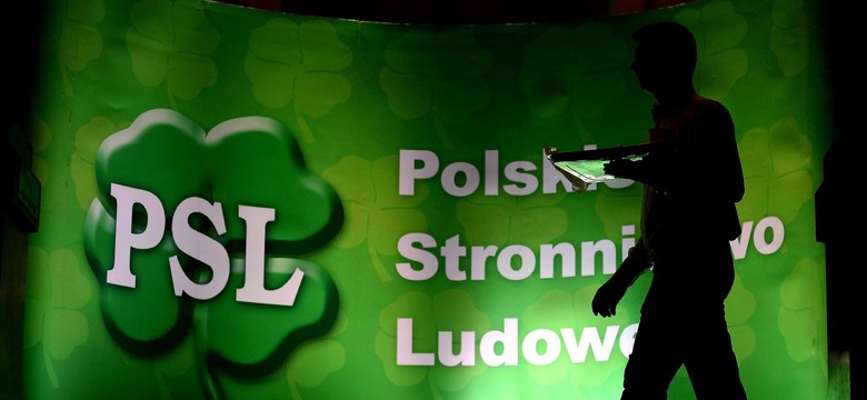 Minister rolnictwa: Stawiam na młodych, nie kandyduję na szefa PSL