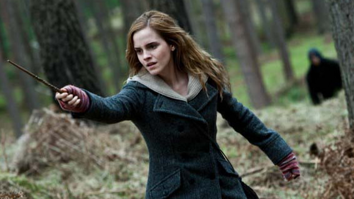 Nowy - już siódmy - "Harry Potter…", który do polskich kin wszedł 19 listopada pozwala uświadomić sobie, że cykle i sequele filmowe to osobny filmowy wszechświat, w którym pasja fanów napędza najlepszy, może poza prowadzeniem wojny, biznes świata.