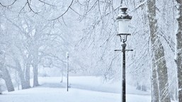 ferie zimowe 2026 wystartowały. o tych obowiązkach muszą pamiętać orga