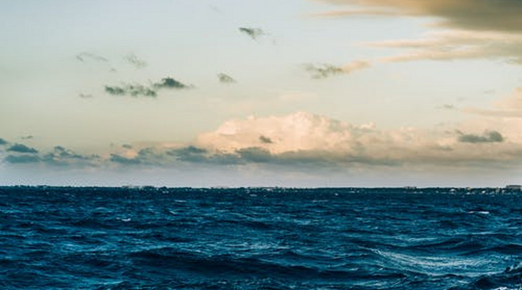 A tengeri hőhullámok jelentős károkat okoznak a tengeri ökoszisztémákban /Fotó: Pexels