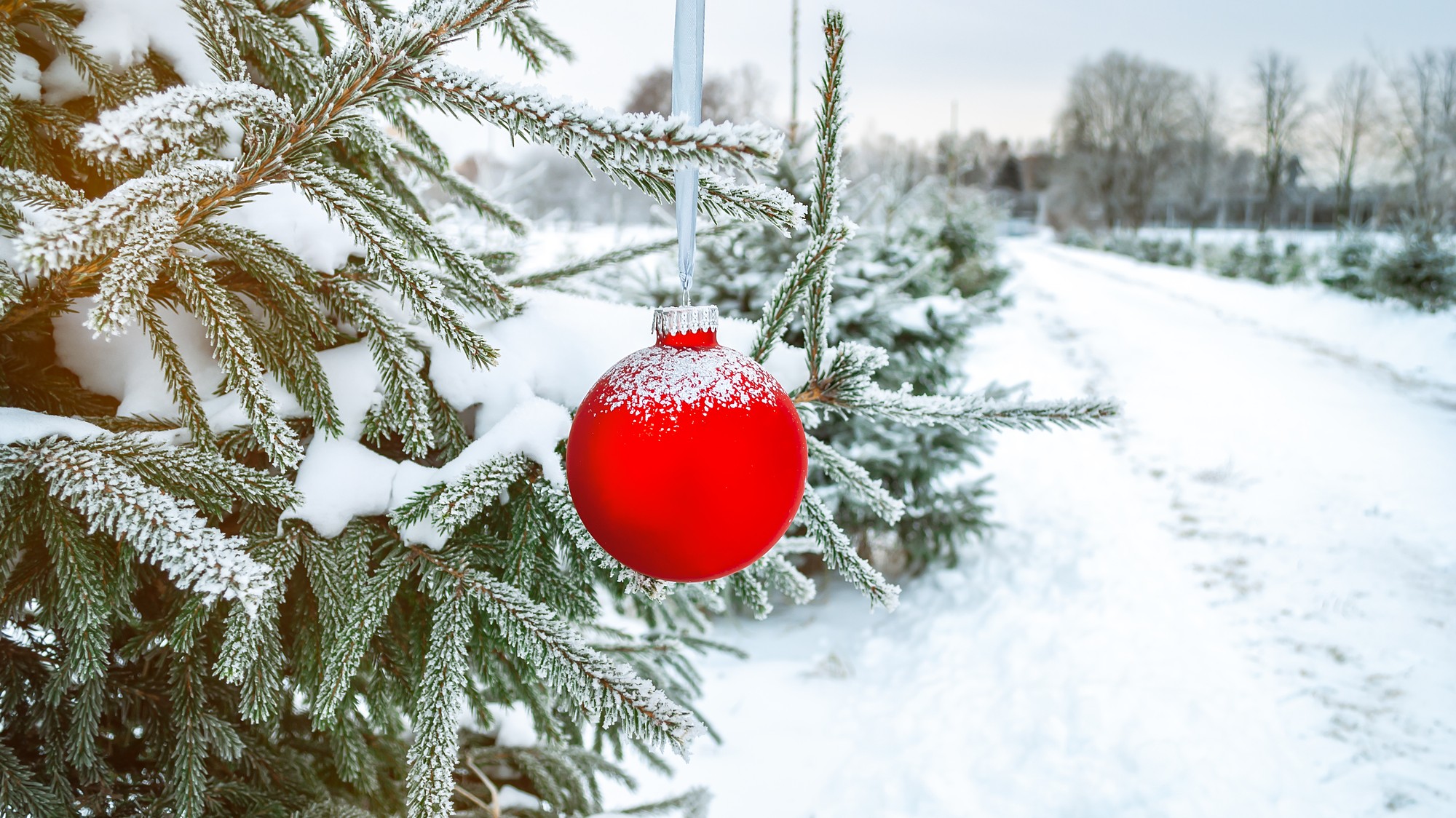 Výraznejšie ochladenie pravdepodobne príde až na prelome rokov. (ilustračné foto)