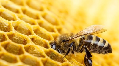 21 Sexual Fetishes You've Never Heard of Before