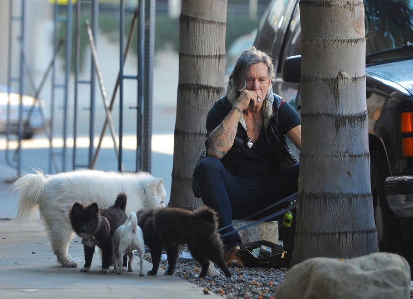 Mikija Rurka more neke brige