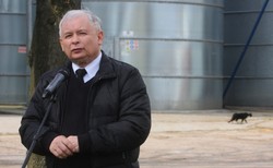 Kaczyński o Dniu Kota: Dzisiaj mamy nowe pokolenie kotów. Mają zupełnie inne wymagania i oczekiwania
