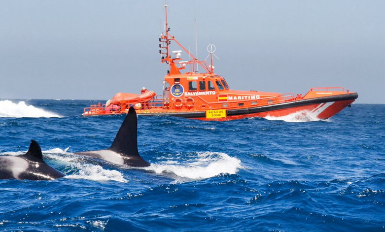 Orki atakują jednostki pływające u wybrzeży Hiszpanii