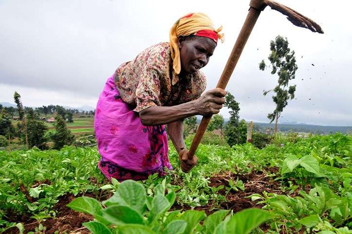 Farming