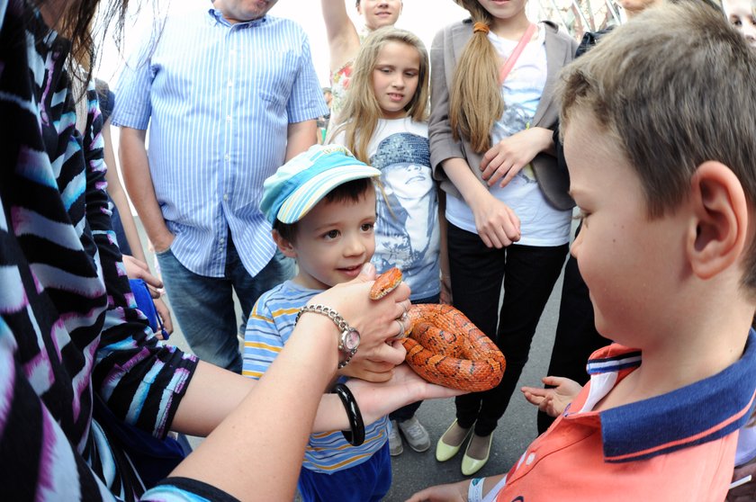 Wielki Piknik Naukowy na Stadionie Narodowym