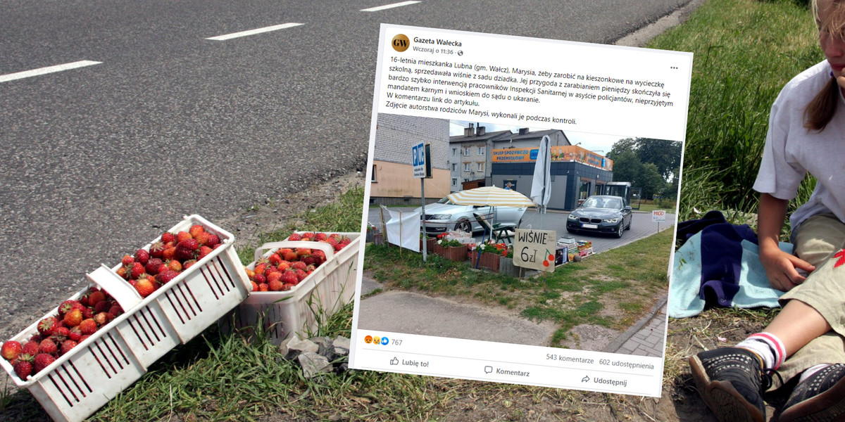 Sprzedawała wiśnie, by zarobić na wycieczkę szkolną. Nasłali na nią inspekcję (fot. Screenshot/Facebook/Gazeta Wałecka)