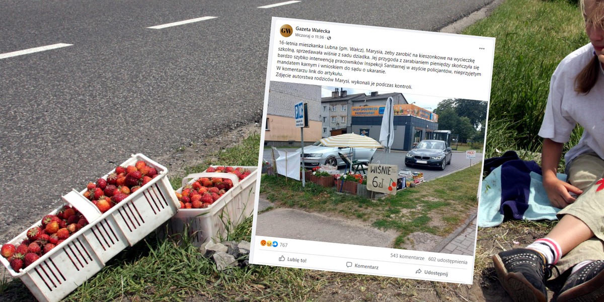 Sprzedawała wiśnie, by zarobić na wycieczkę szkolną. Nasłali na nią inspekcję (fot. Screenshot/Facebook/Gazeta Wałecka)