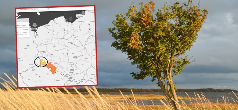 Alert IMGW. Zagrożenie silnym wiatrem i mgłą