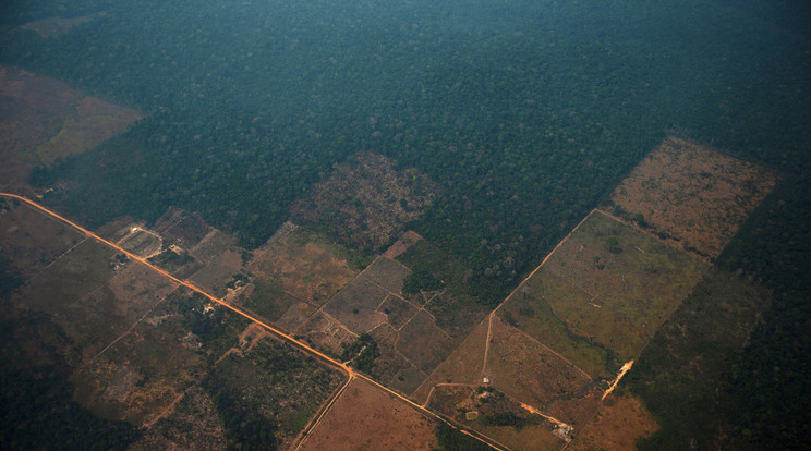 Légi felvétel kiirtott erdőkről az Amazonas-medencében lévő a brazíliai Porto Velho közelében 2019. augusztus 23-án / Fotó: MTI/EPA-EFE/Joedson Alves