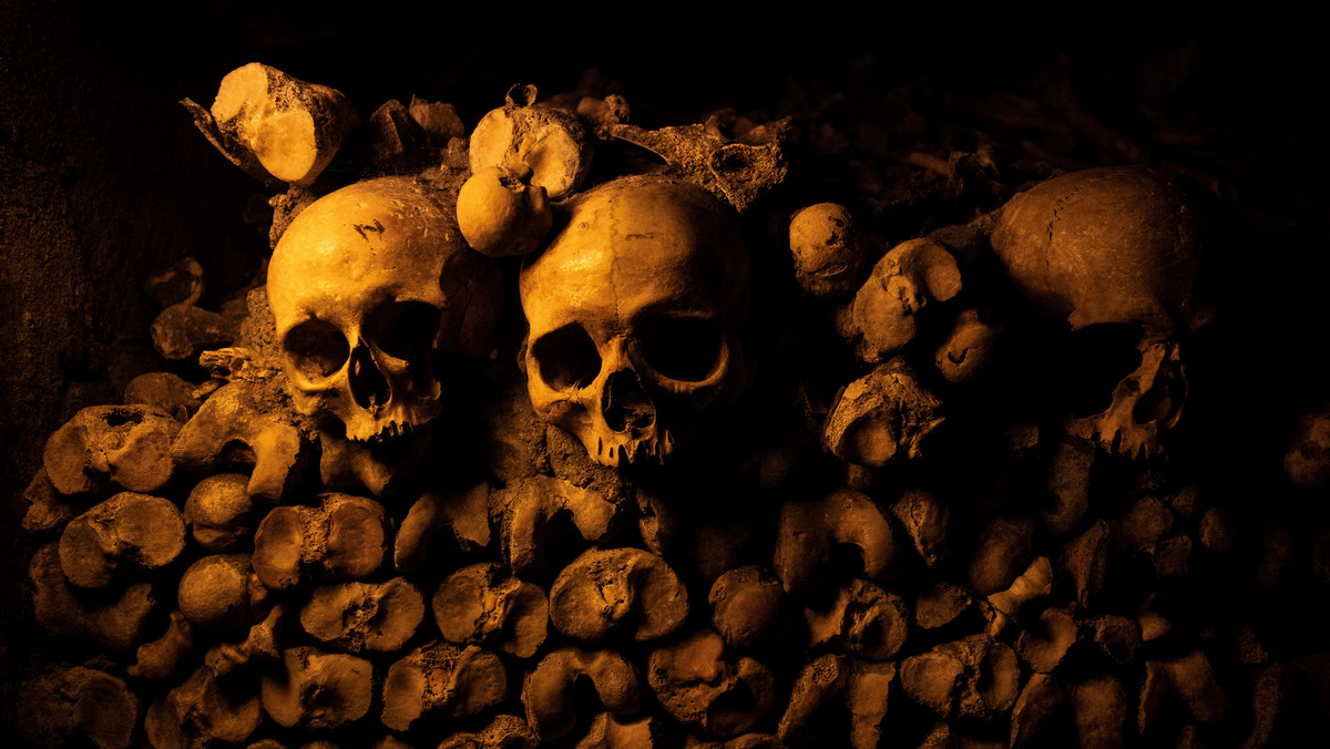 Ludzkie kości w podziemiach Paryża. Miasto robi porządki