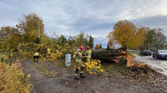 Połamane drzewa i gałęzie. Strażacy usuwają skutki silnego wiatru