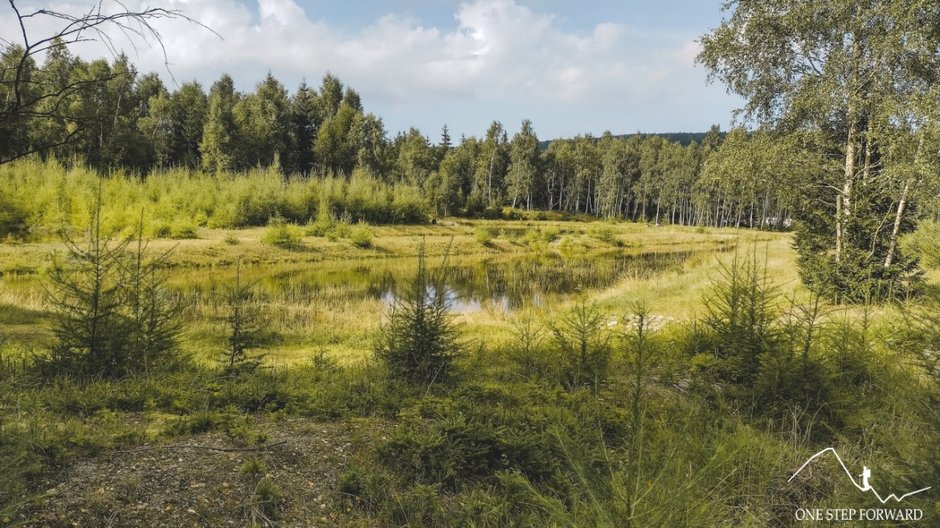 Tak kończę wycieczkę na Wysoką Kopę