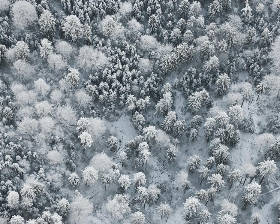 Fotó: Getty Images