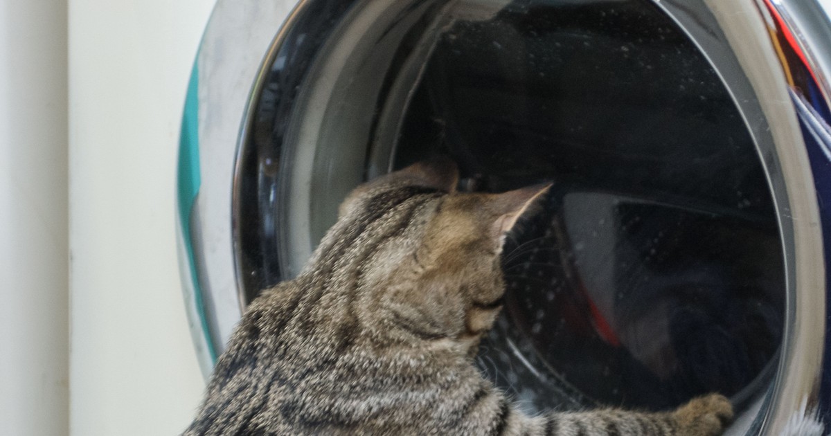 Ha így mosod ki a pehellyel bélelt kabátokat a mosógépben, olyan lesz, mint újkorában