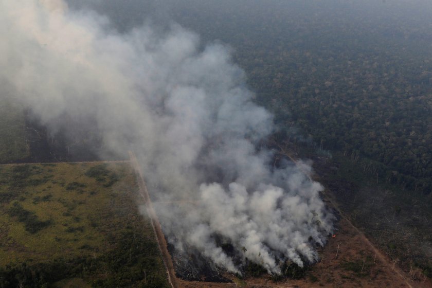 Pożar Amazonii. Płoną lasy deszczowe. Płuca świata zagrożone ogniem