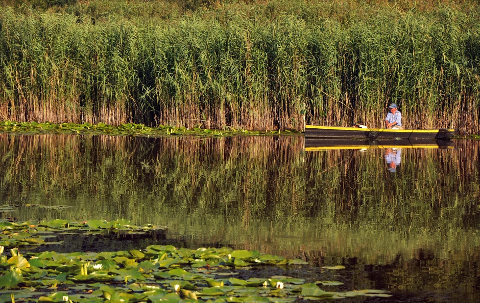 Čarobna vegetacija Obedske bare