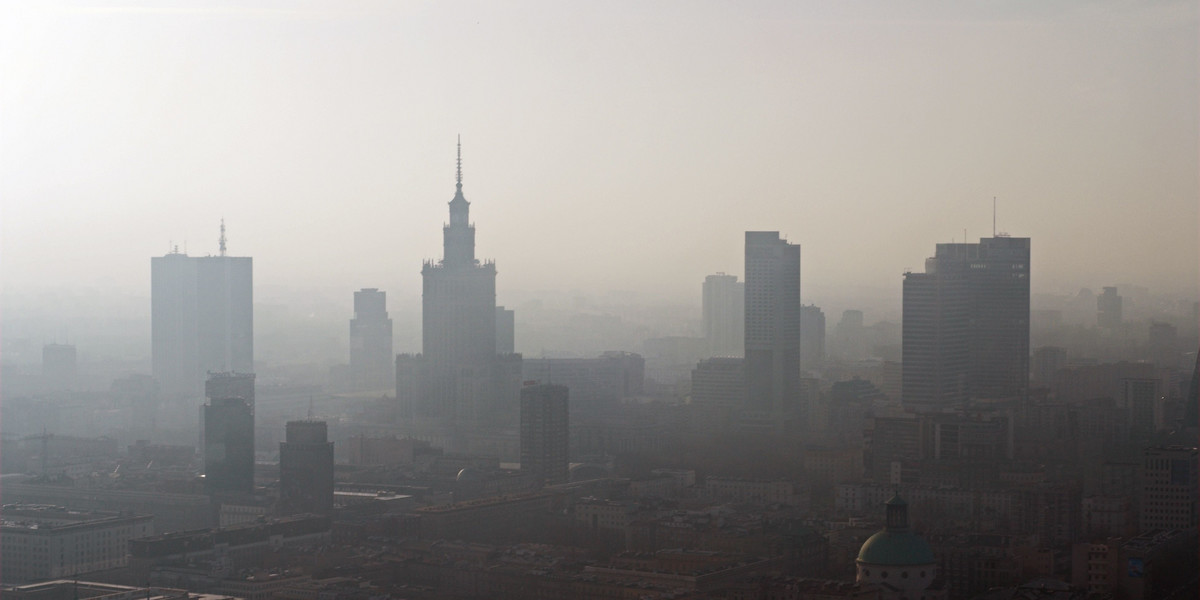 Smog niszczy mózgi dzieci. Jedna grupa jest w szczególności narażona