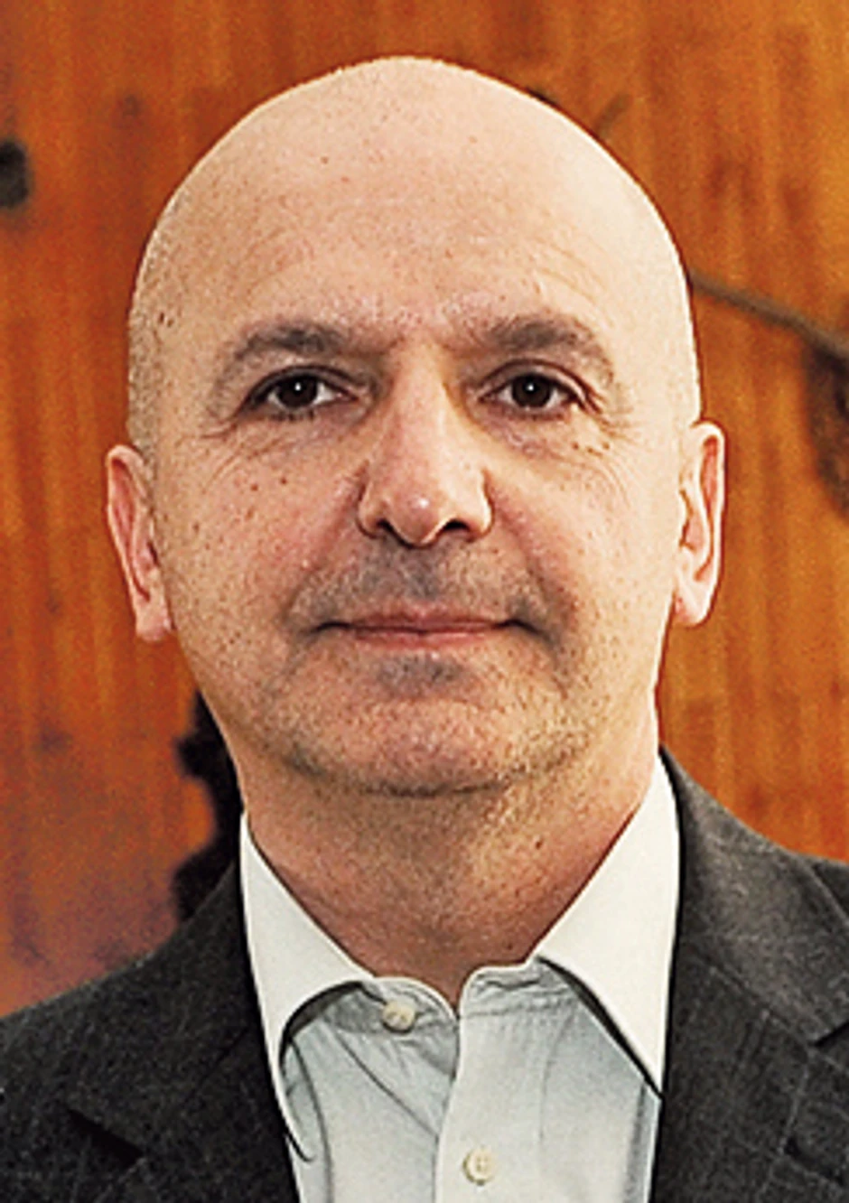 - Ovim izmenama zakona na mala vrata se otvara mogućnost izrade urbanističkog projekta za male hidroelektrane, uz negiranje planskih dokumenata - Ratko Ristić, dekan Šumarskog fakulteta 