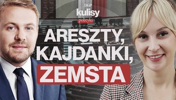 Areszty, kajdanki, zemsta. Ozdoba bez hamulców [KULISY POLITYKI]
