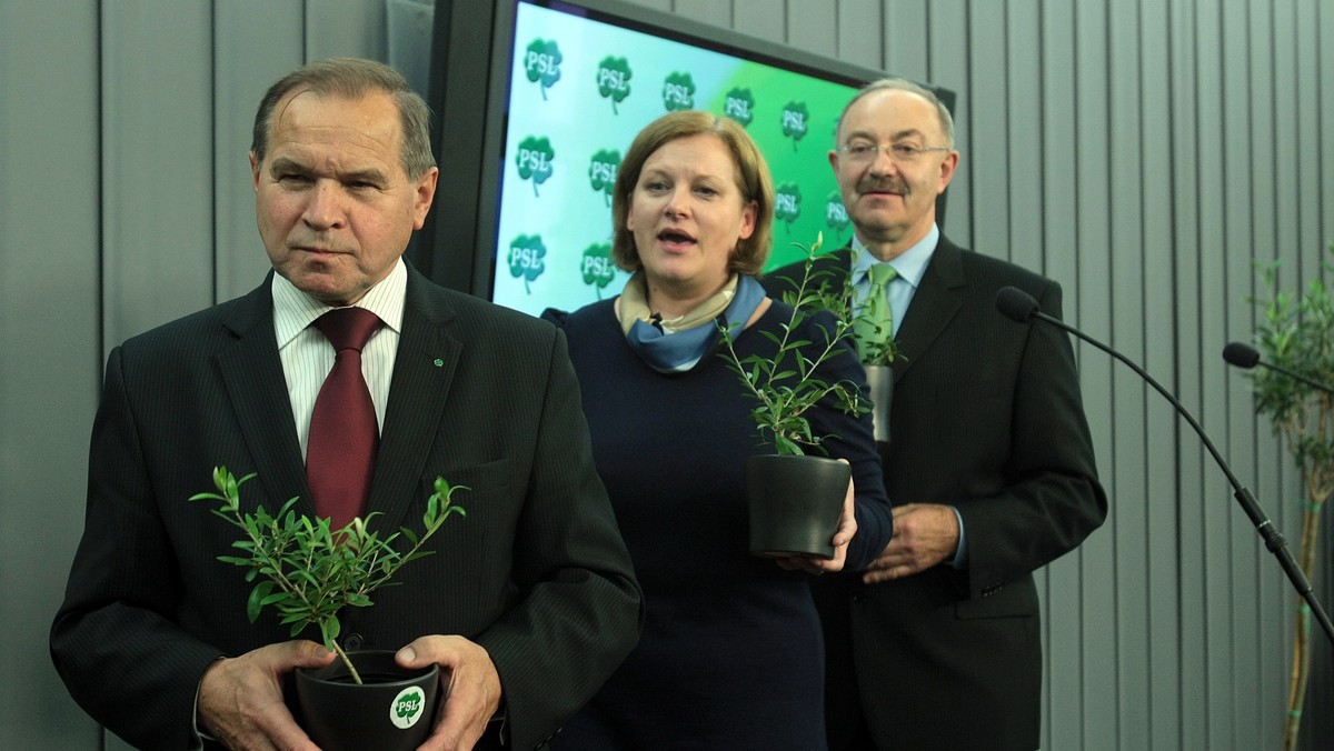 PSL zaapelowało do pozostałych ugrupowań o zaprzestanie kłótni i awantur, które szkodzą Polsce. Ludowcy przekazali przedstawicielom klubów parlamentarnych PO, PiS i SLD sadzonki drzewek oliwnych - symbol pokoju. Apel skierowano również do mediów.