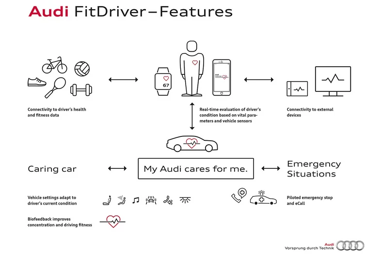 Audi Fit Driver