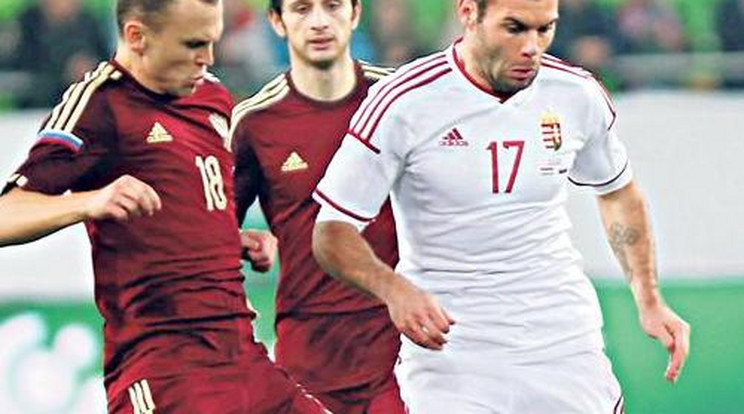 A válogatottban szerzett gól is növelheti Nikolics értékét