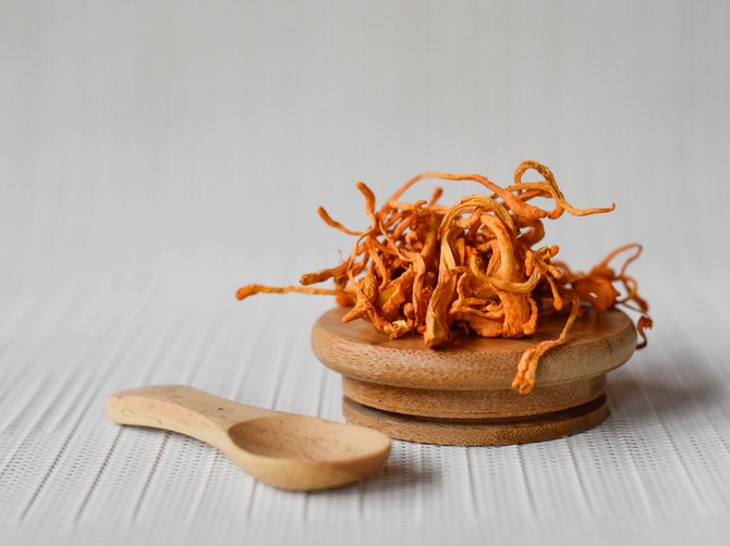 Himalajska pečurka Cordyceps militaris
