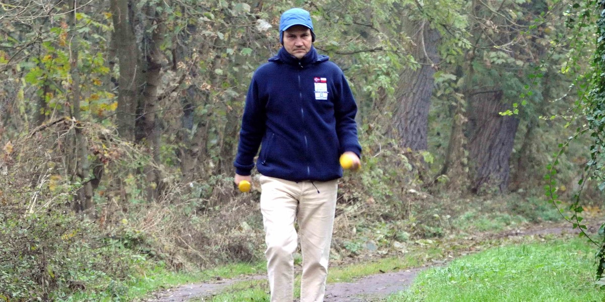 Jesienne porządki na Chobielinie