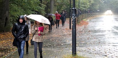 Autobus pojedzie przez rezerwat na Bielanach