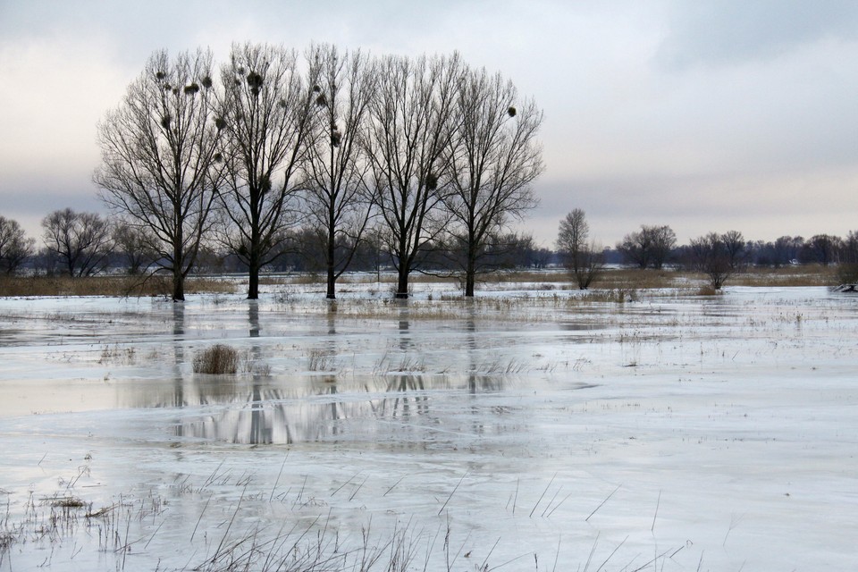 KRAJNIK ZATOR LODOWY ODRA