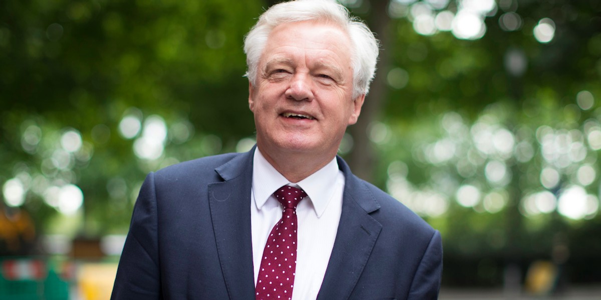 David Davis rules out EEA or EFTA membership for UK after Brexit