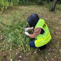 Marihuana dla uczniów? Policja w ostatniej chwili przerwała proceder